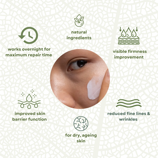 AgeLab Collagen Anti-Age Night Cream 50ml