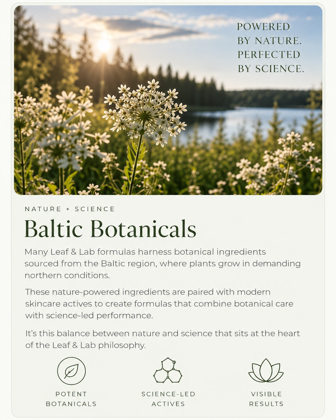Baltic Botanicals - nature and science