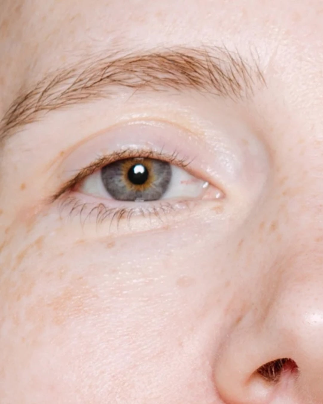 AgeLab Peptide Age Defying Eye Cream