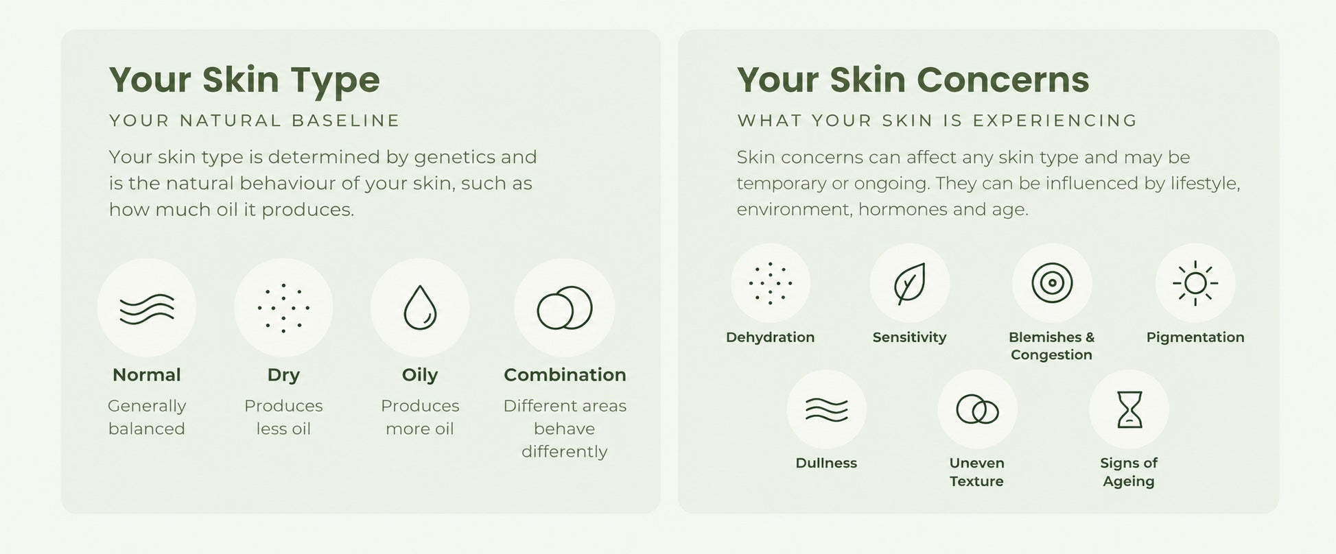 Leaf & Lab skin types and skin concerns guide